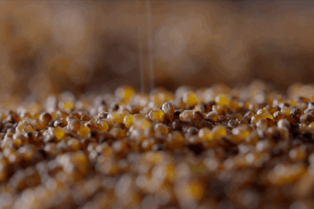 青菜虾仁的做法_虾仁青菜点心_青菜虾仁怎么做好吃
