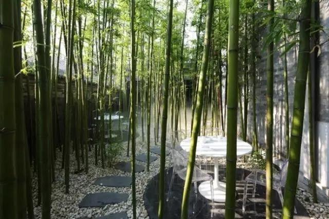 米氏西餐厅穿搭_西餐厅穿着礼仪_西餐厅穿什么比较合适